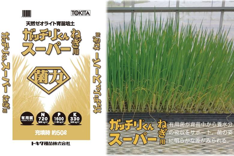 ガッチリくんスーパーねぎ用【BS資材】