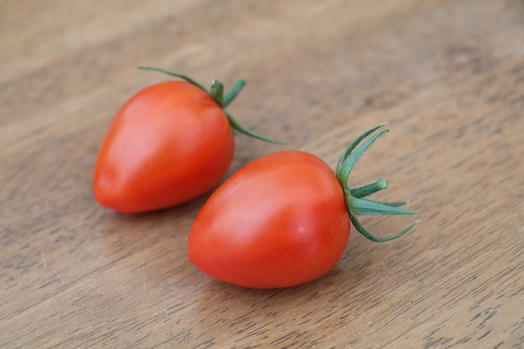 トマトベリーオペラ&reg;                                    