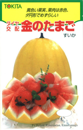 金のたまご                                             
