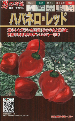 ハバネロレッド                                           