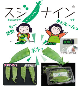 スジナイン&reg;                                        