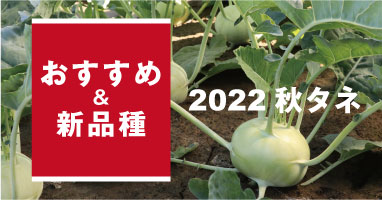 2022年秋のおすすめ＆新品種