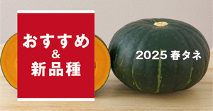 2025年春のおすすめ＆新品種