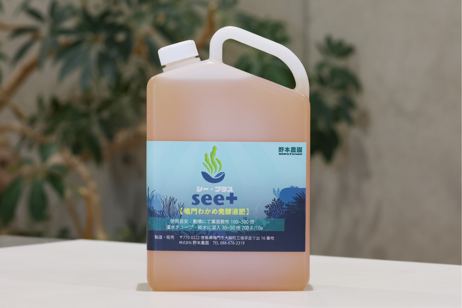 SEE＋シープラス                                         