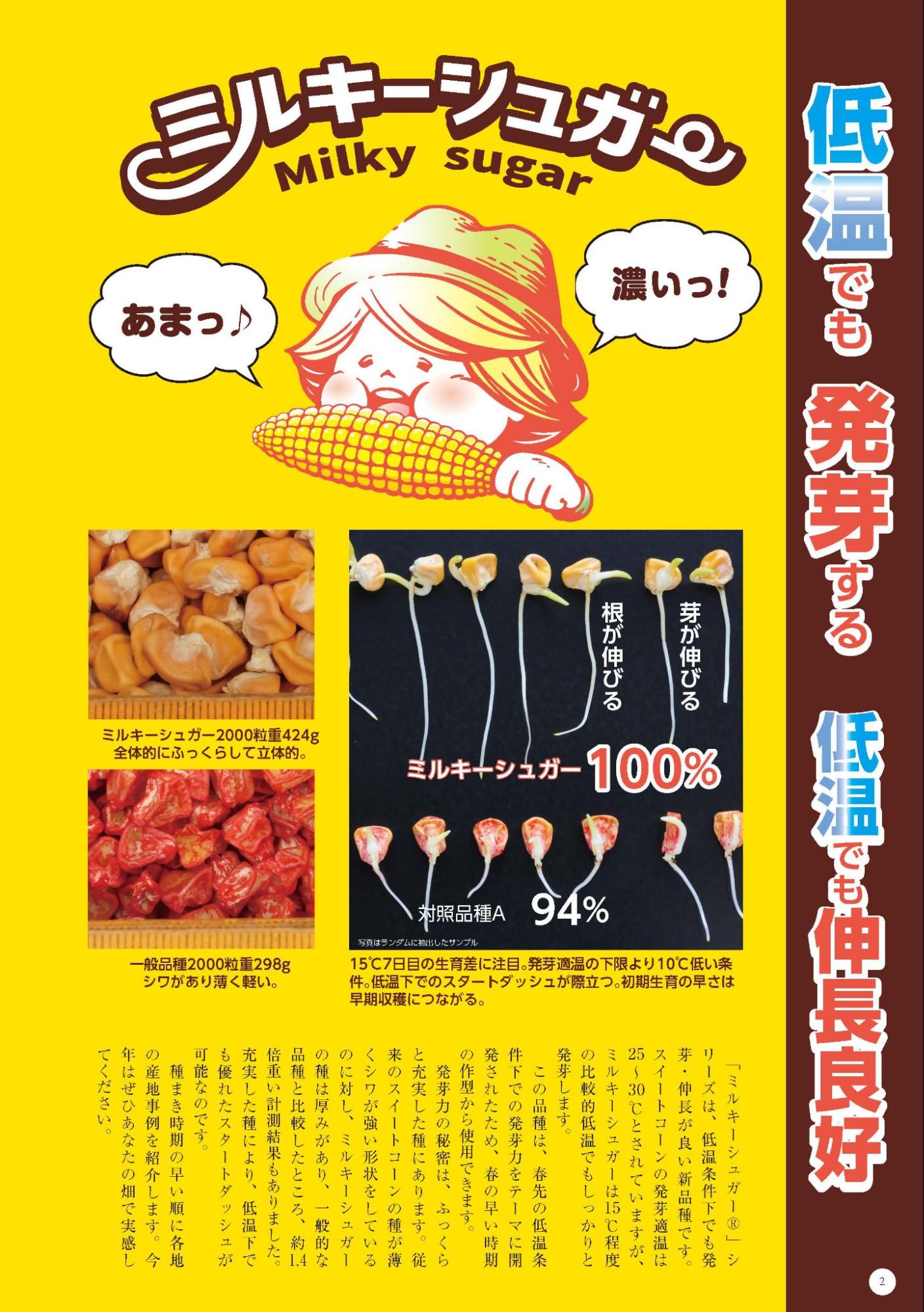 ミルキーシュガーとうもろこし