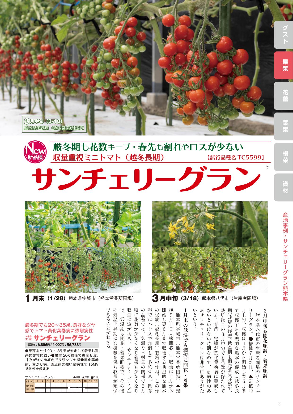 灼熱シリーズ 避ける