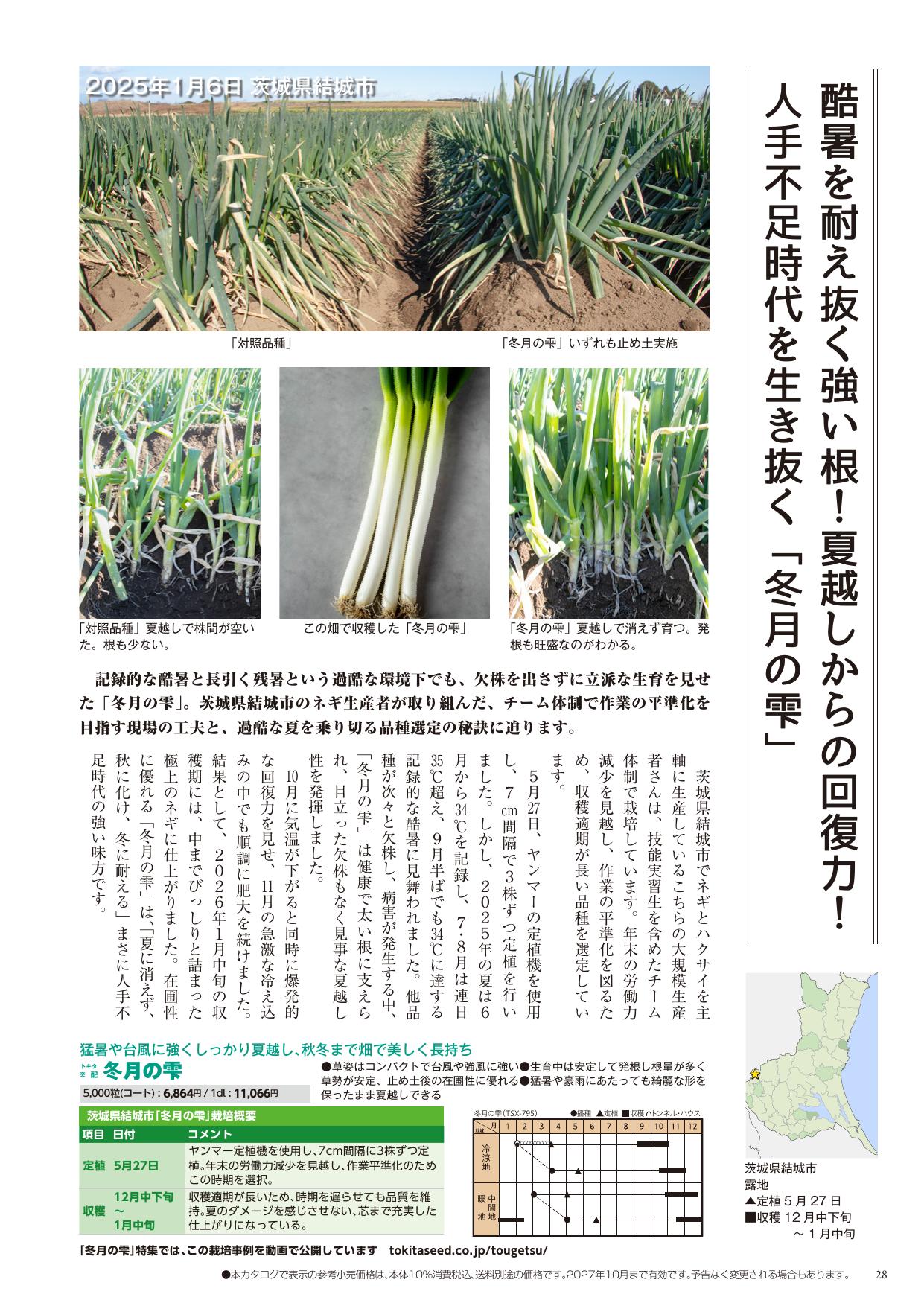 灼熱シリーズ 回復させる