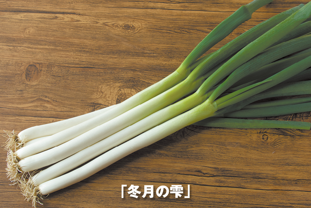 2026年1月6日